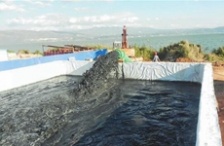  玉溪星云湖加快污染底泥疏挖，消除劣V類水質(zhì)