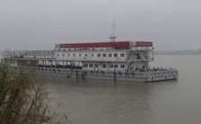  &ldquo;回頭看&rdquo;典型案例通報（一）丨安慶市江豚自然保護區(qū)不斷瘦身 &ldquo;水中大熊貓&rdquo;生境堪憂