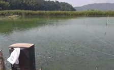  水產(chǎn)養(yǎng)殖水質(zhì)檢測標(biāo)準(zhǔn)，這五個(gè)方面讓水質(zhì)恢復(fù)清新