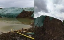  曲靖市委市政府官僚主義 上市公司環(huán)境污染觸目驚心