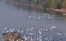  生態(tài)環(huán)境部召開2018年上半年水環(huán)境質(zhì)量達標滯后地區(qū)工作調(diào)度會