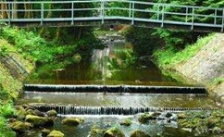  河南開封飲用水水源地環(huán)境問題整治工作不嚴不實